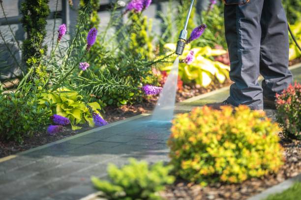 Best Patio and Deck Pressure Washing  in Lakeview, MI